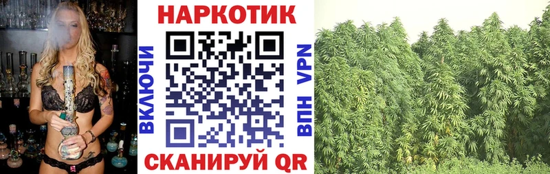 Магазины продажи наркотиков Судогда СОЛЬ КОКАИН Меф мяу мяу КЕТАМИН ГАШИШ Галлюциногенные грибы ГЕРОИН