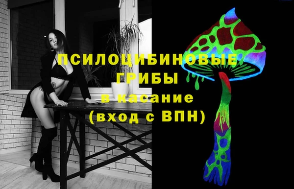 ешки Алзамай